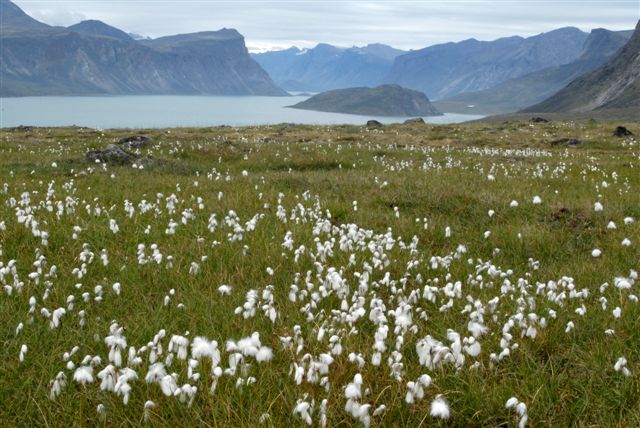 Baffin Island 2007 Auyuittuq Park Akshayuk Pass Nestor Lewyckyj Roman Poluha